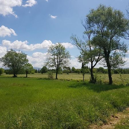 Podere Buriano Apartman Arezzo Kültér fotó